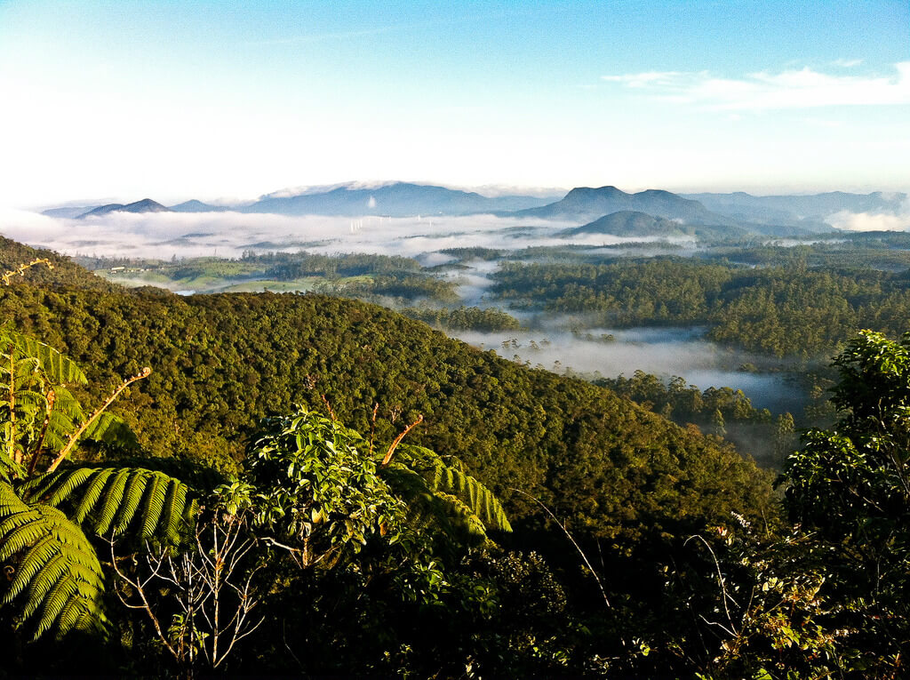 Sri Lanka * MLMT | Mylastminutetrip